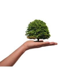 Zero waste - környezet tudatos termékek